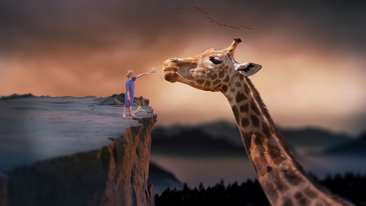 giraffa